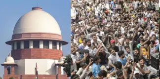 కాక్రోచ్ లకు సుప్రీంకోర్టు గుడ్ న్యూస్..!
