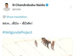 వెలిగొండపై సీఎం చంద్రబాబు ఎమోషనల్ పోస్ట్..!