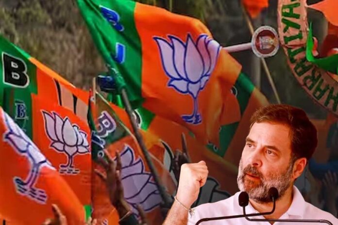 1711963003_rahul-bjp