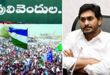 పులివెందులను కూటమికి రాసిచ్చిన జగన్..?